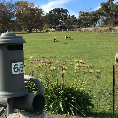 ホテル Adelaide Hills Escape Woodside エクステリア 写真