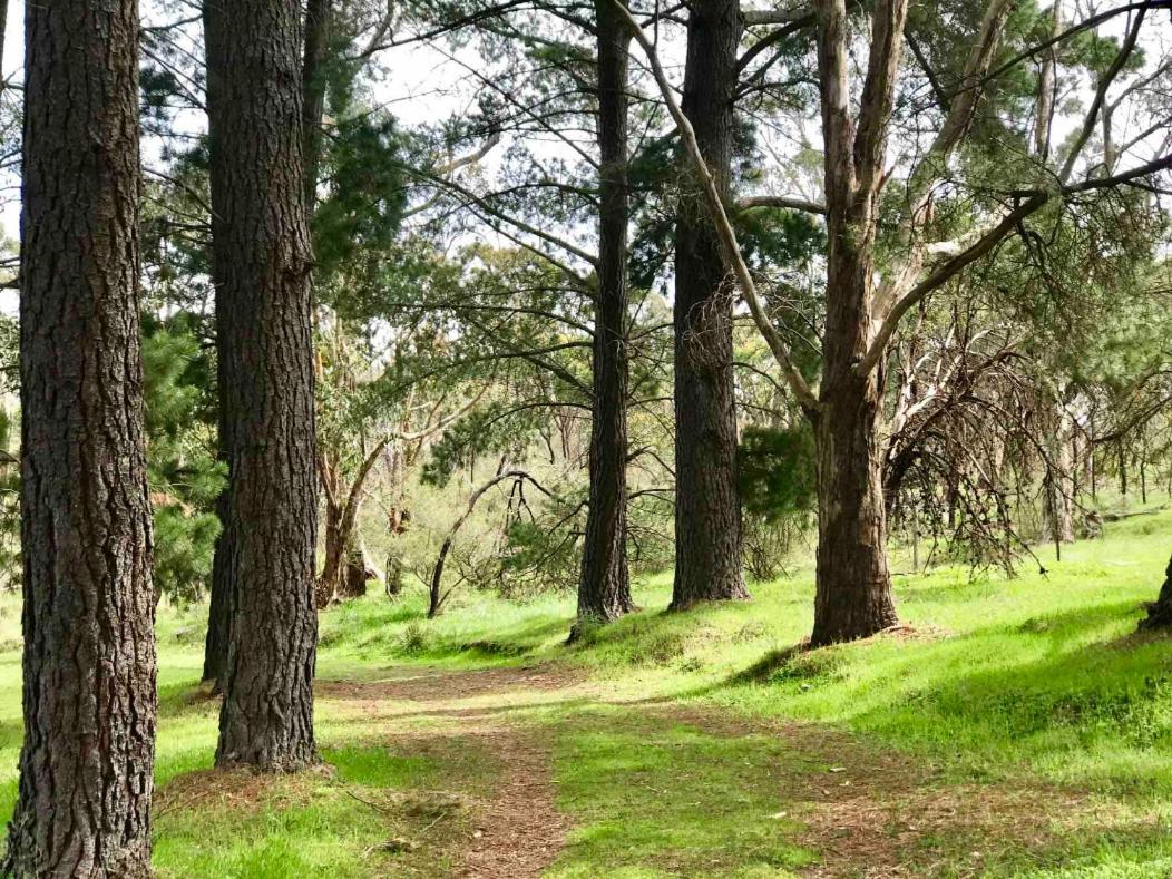 ホテル Adelaide Hills Escape Woodside エクステリア 写真