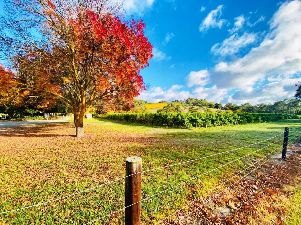 ホテル Adelaide Hills Escape Woodside エクステリア 写真