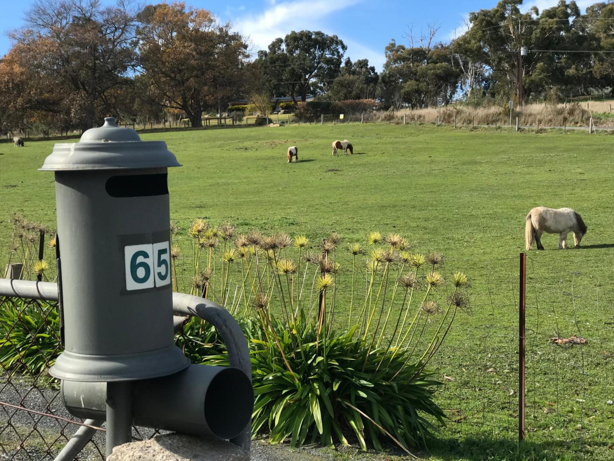 ホテル Adelaide Hills Escape Woodside エクステリア 写真