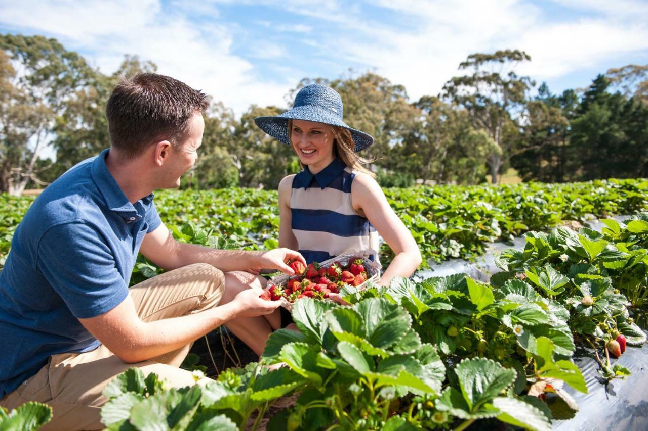 ホテル Adelaide Hills Escape Woodside エクステリア 写真